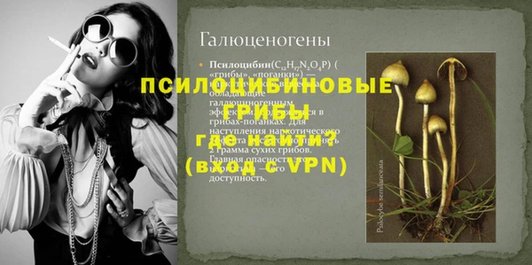 винт Арсеньев