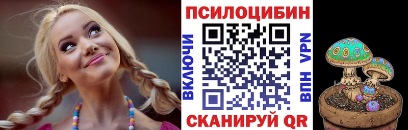 Галлюциногенные грибы Psilocybe  как найти закладки  Таштагол 
